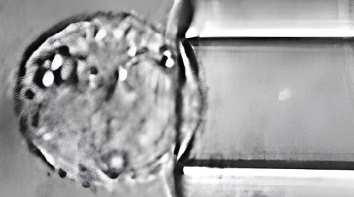 Micropipette Tiny Drops, Big Things Micropipettes are essential laboratory tools that allow scientists and lab technicians to transfer liquids with microliter or nanoliter scale precision.